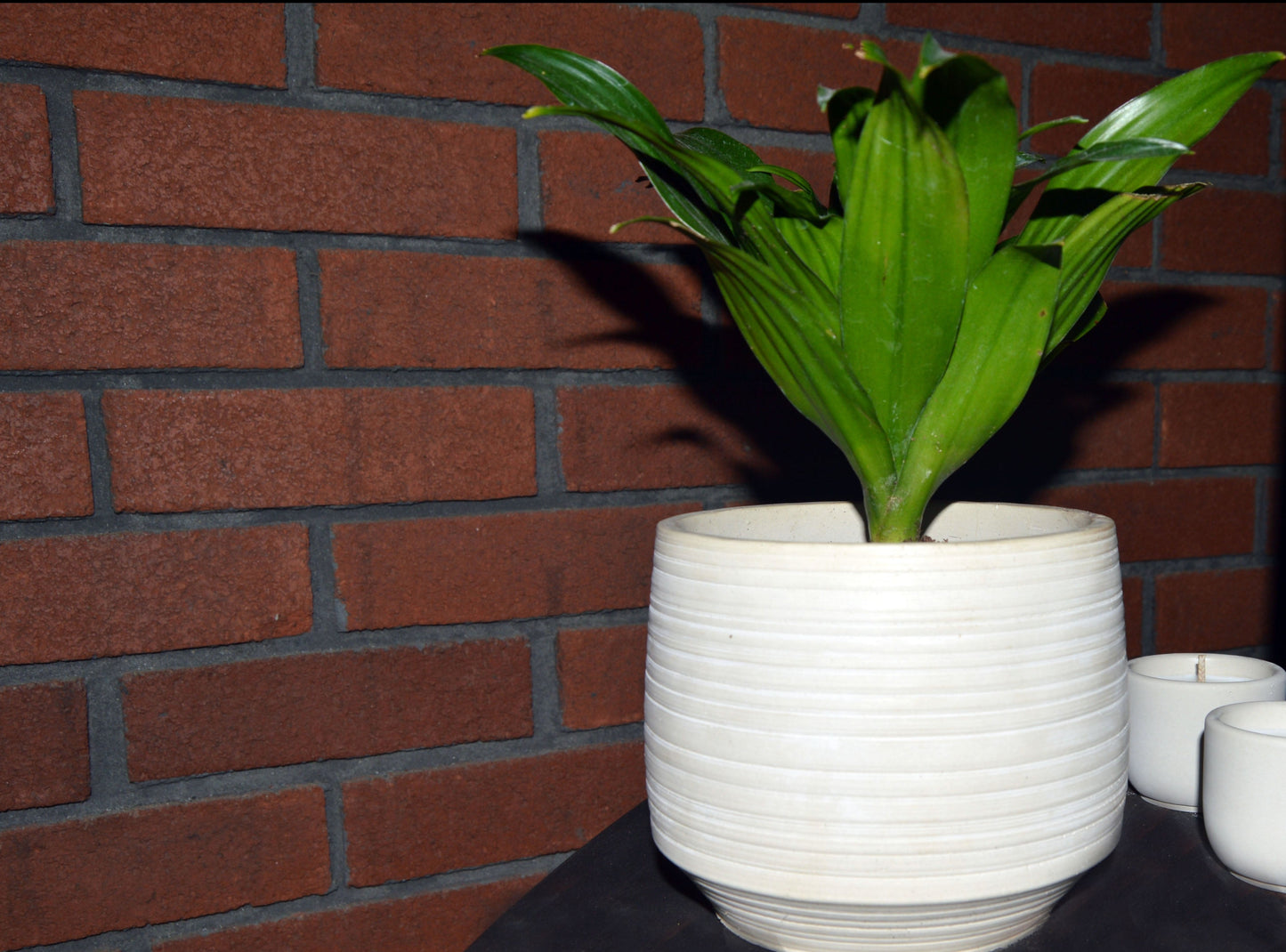 Concrete Flower Pot