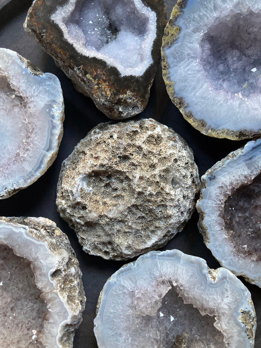 Las Choyas Coconut Polished Geode