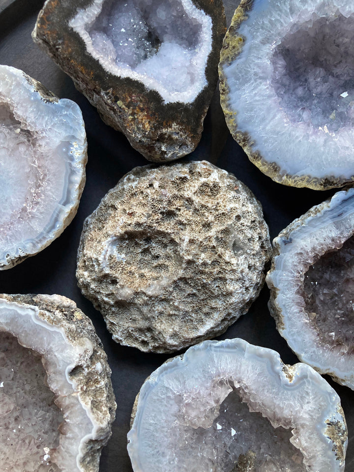 Las Choyas Coconut Polished Geode