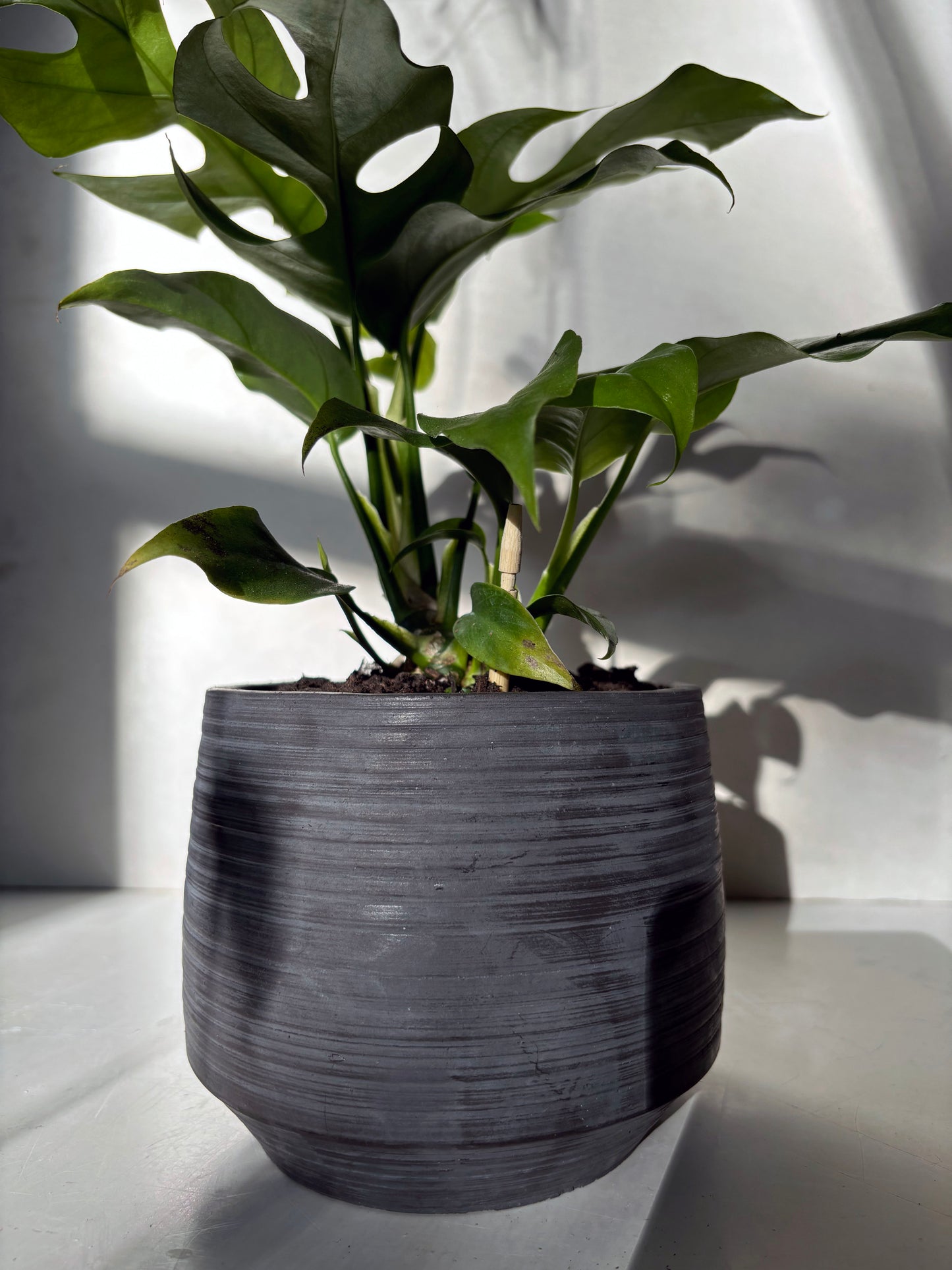 Concrete Flower Pot