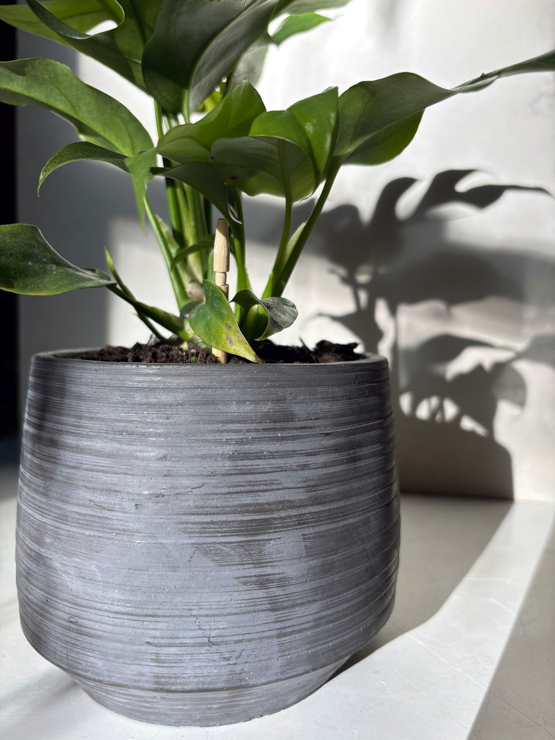 Concrete Flower Pot