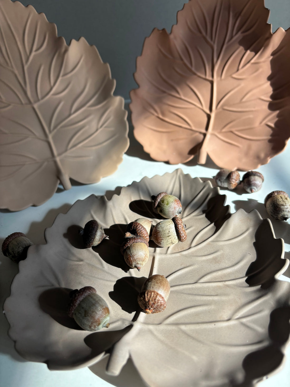 Leaf Tray