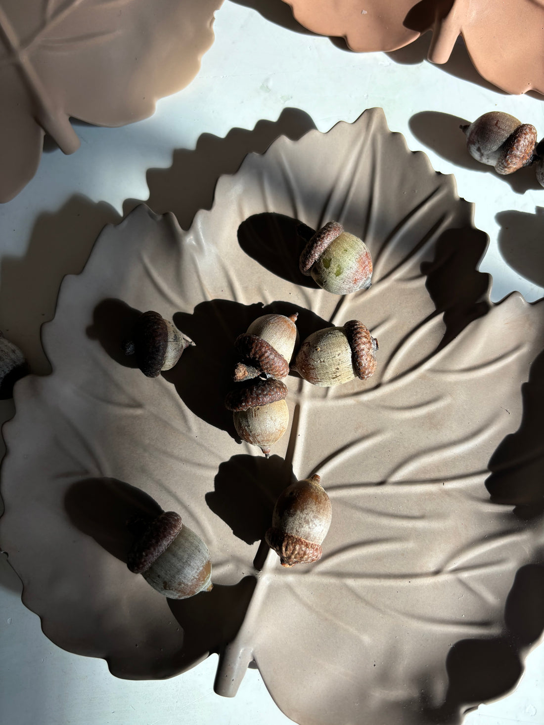 Leaf Tray