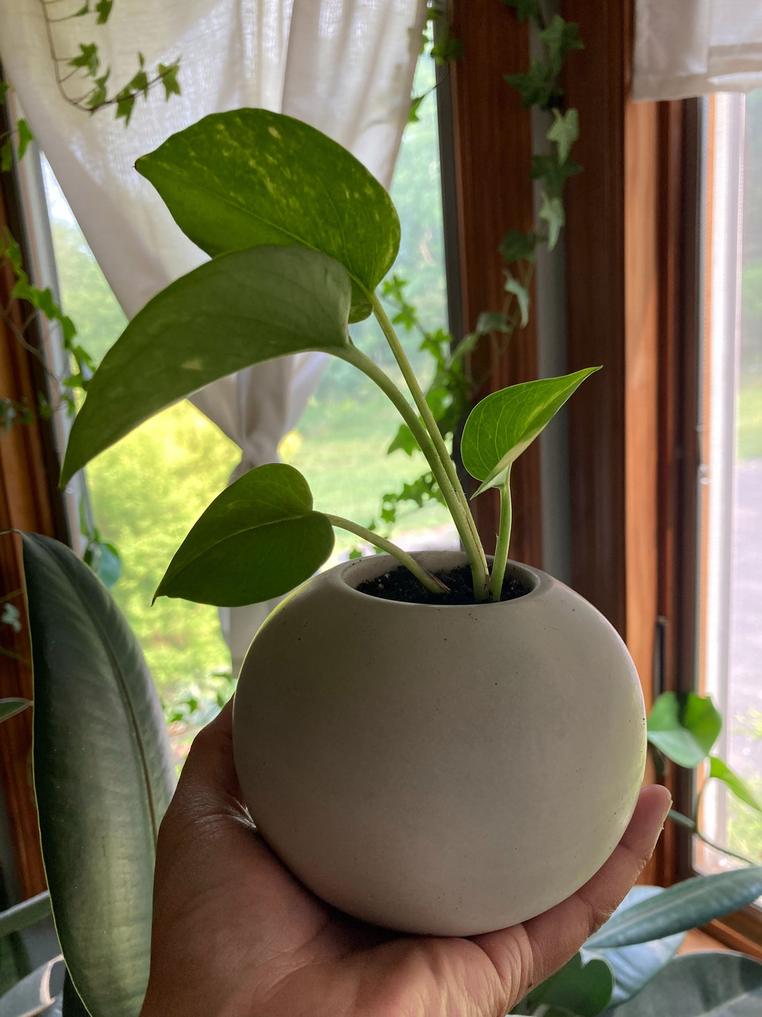 Stone Ball Planter