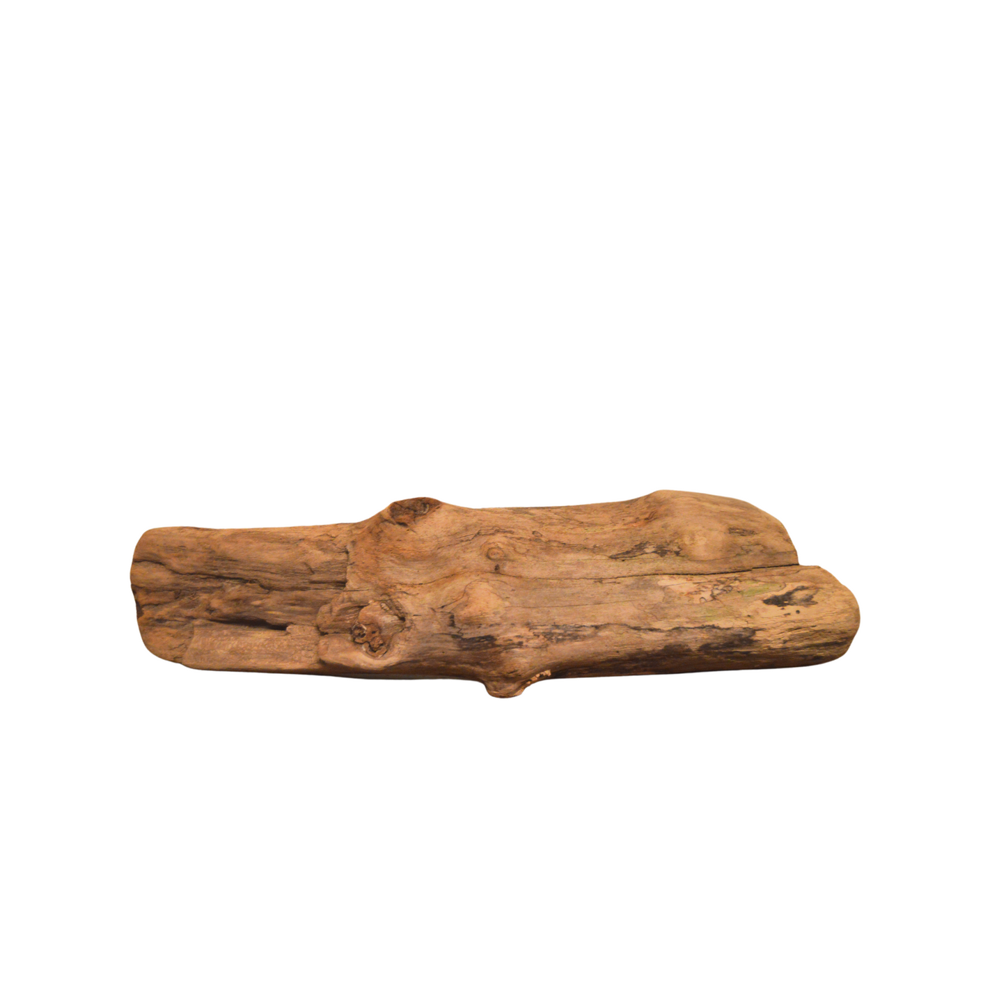 Weathered Log Driftwood, Tan. White Background.