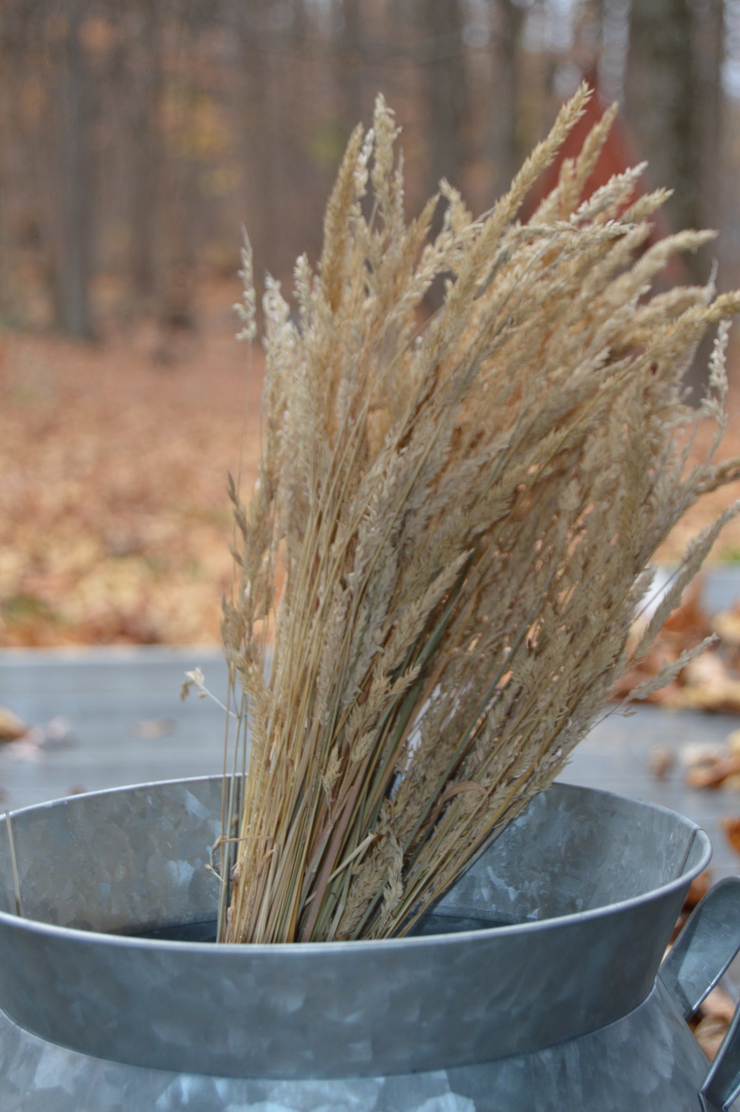 Dried grass bunch placed in large tin jug. Background of the woods and leaves on the ground.